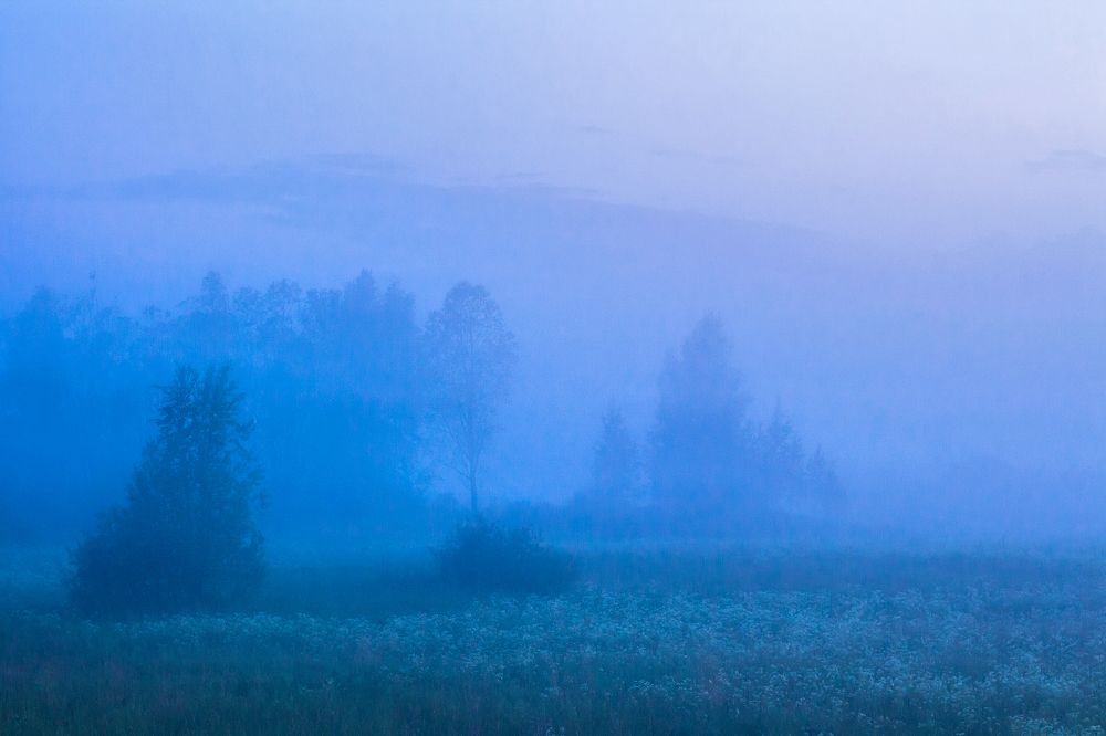 Фотография автора Ярина Яриловец