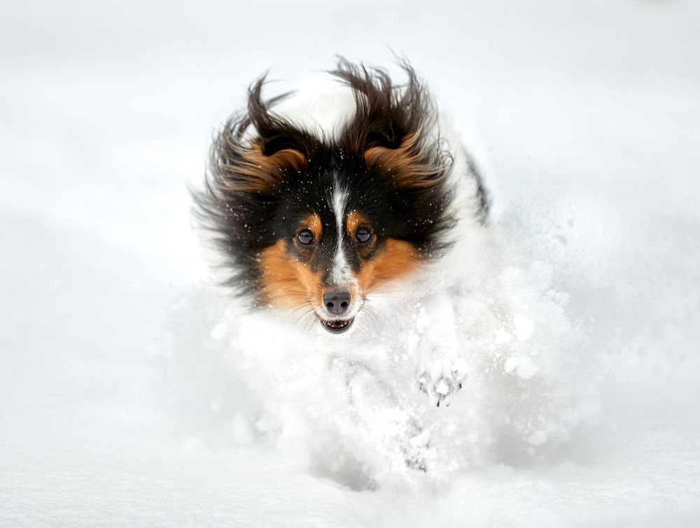 Run like a wind to your happiness