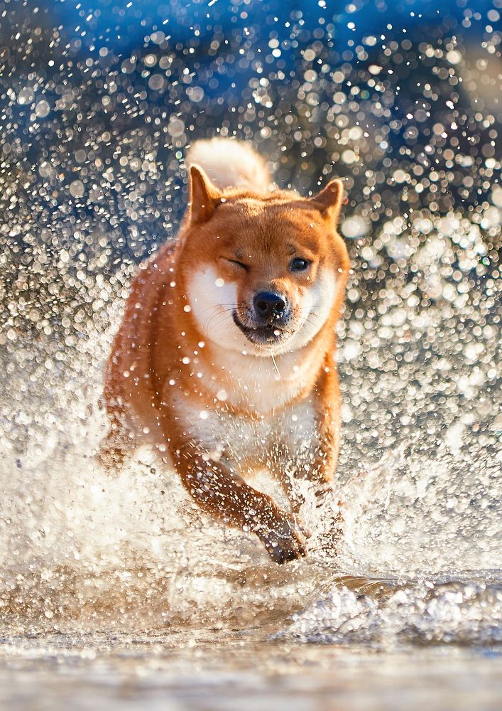 Run like a wind to your happiness