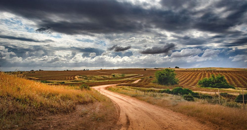 Фотография автора Анатолий