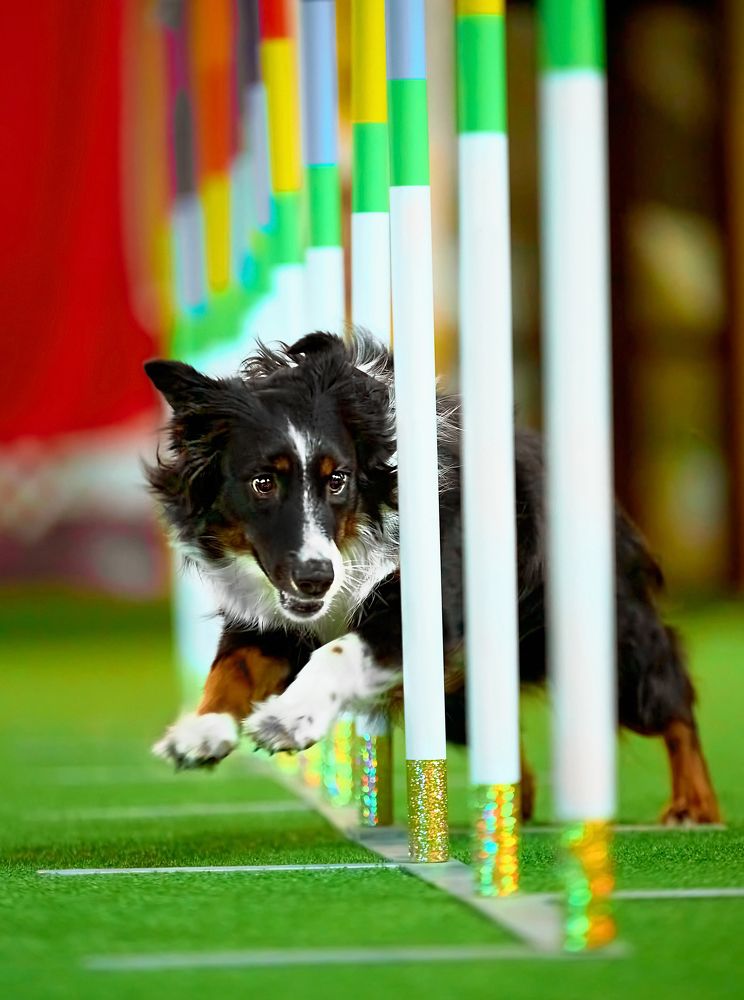 Run like a wind to your happiness