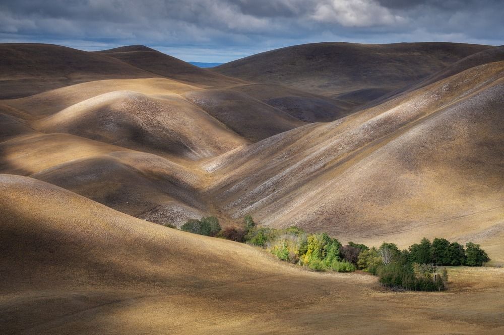 Photograph by Василий Яковлев