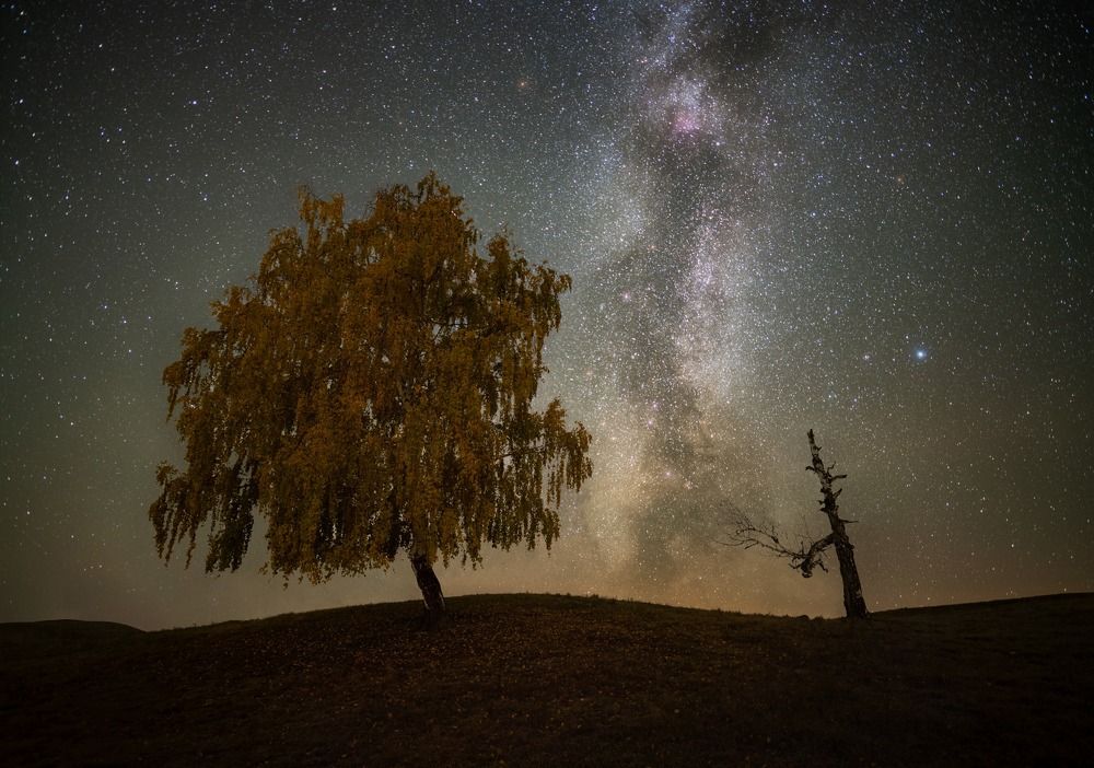 Photograph by Василий Яковлев