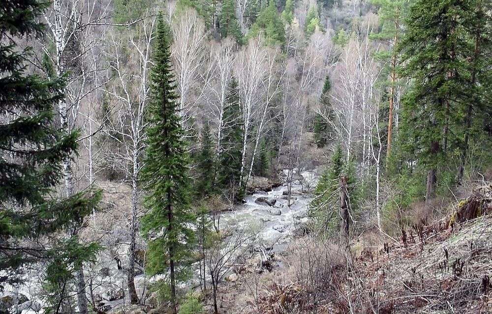 Photograph by tolik54