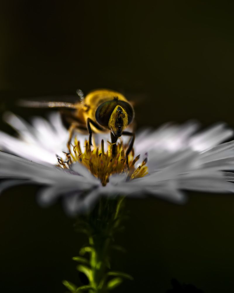 Подзарядка