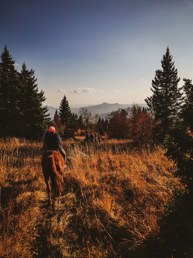 Photograph by Юлия