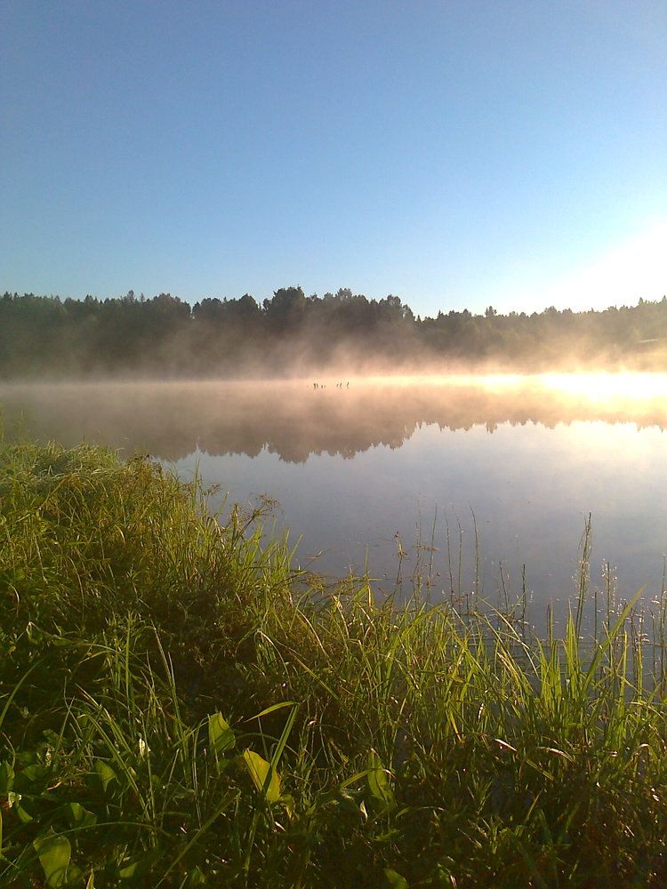 Photograph by Кольцова Фаина