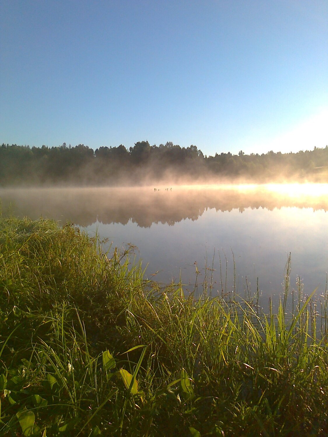 Photo #5877225