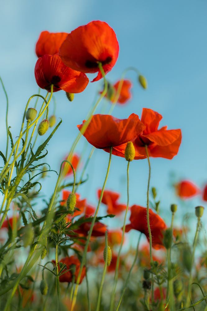 Photograph by Наталья Брюхненко