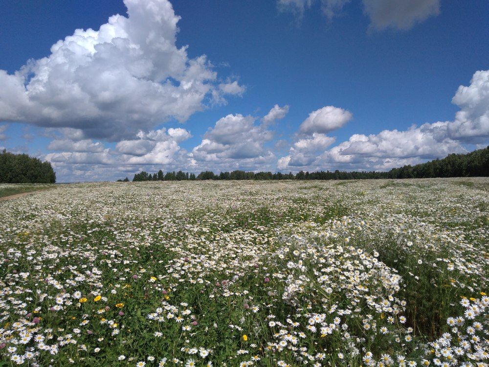 Photograph by Кольцова Фаина