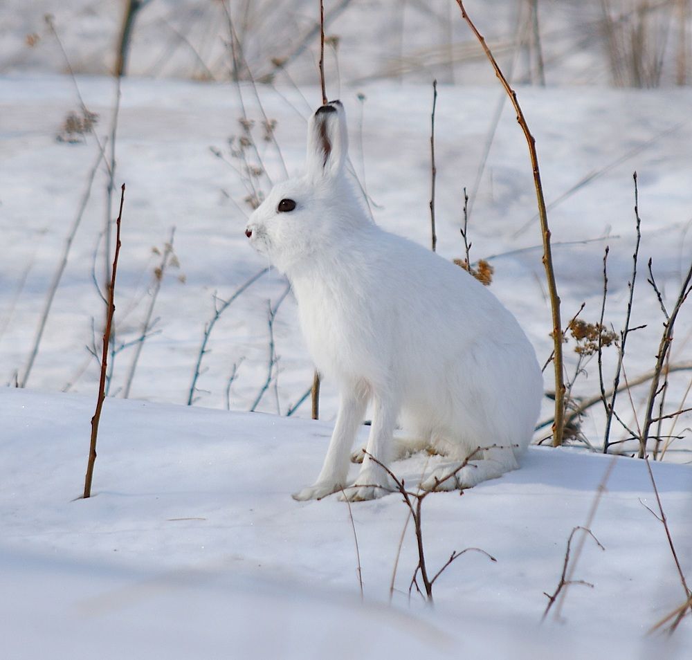 Photograph by @bersenika