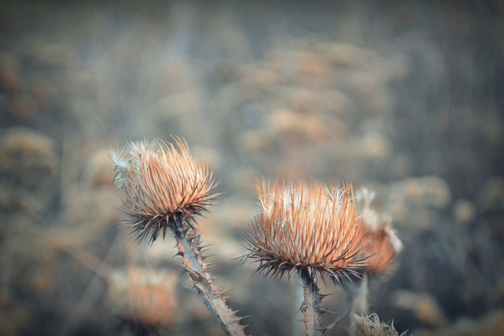 Photograph by Юлия Островская