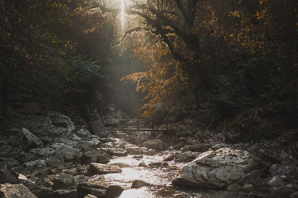 Photograph by Инна Фокина