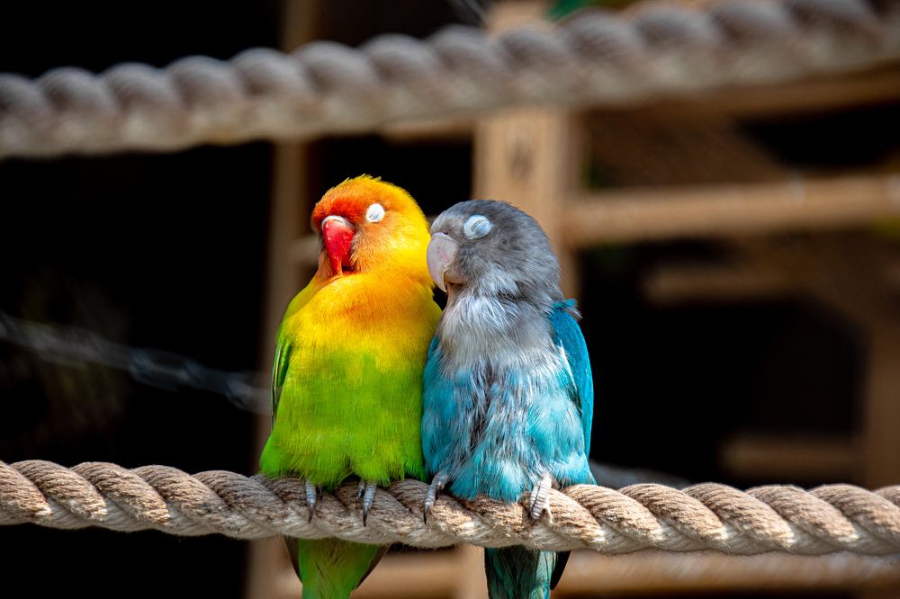 Photograph by Артем Козлов