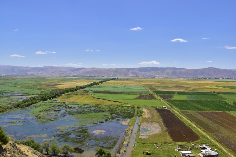 Photograph by Jessica Hajjar