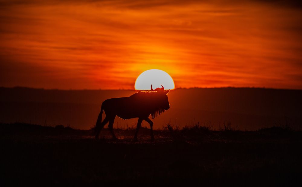 Photograph by Aneesh Thomas