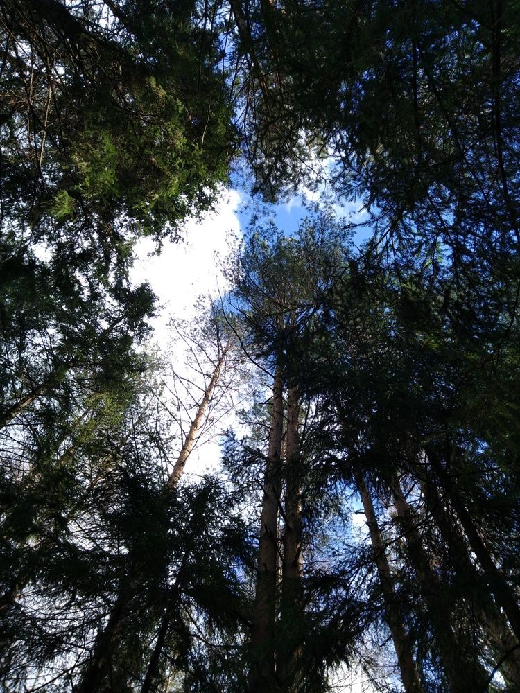 Photo #5877485