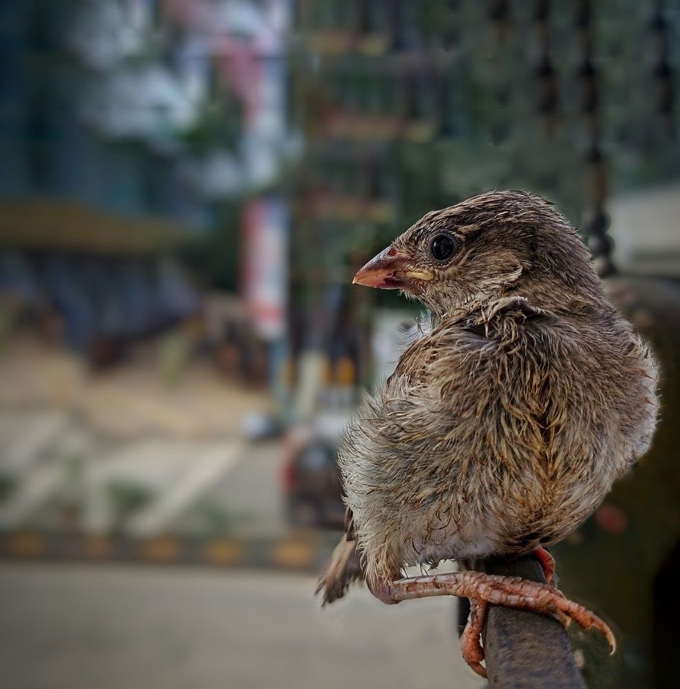 Photograph by Rishabh Solanki