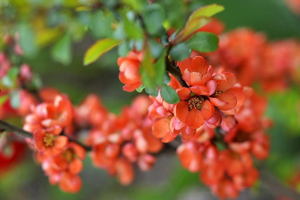 После дождя