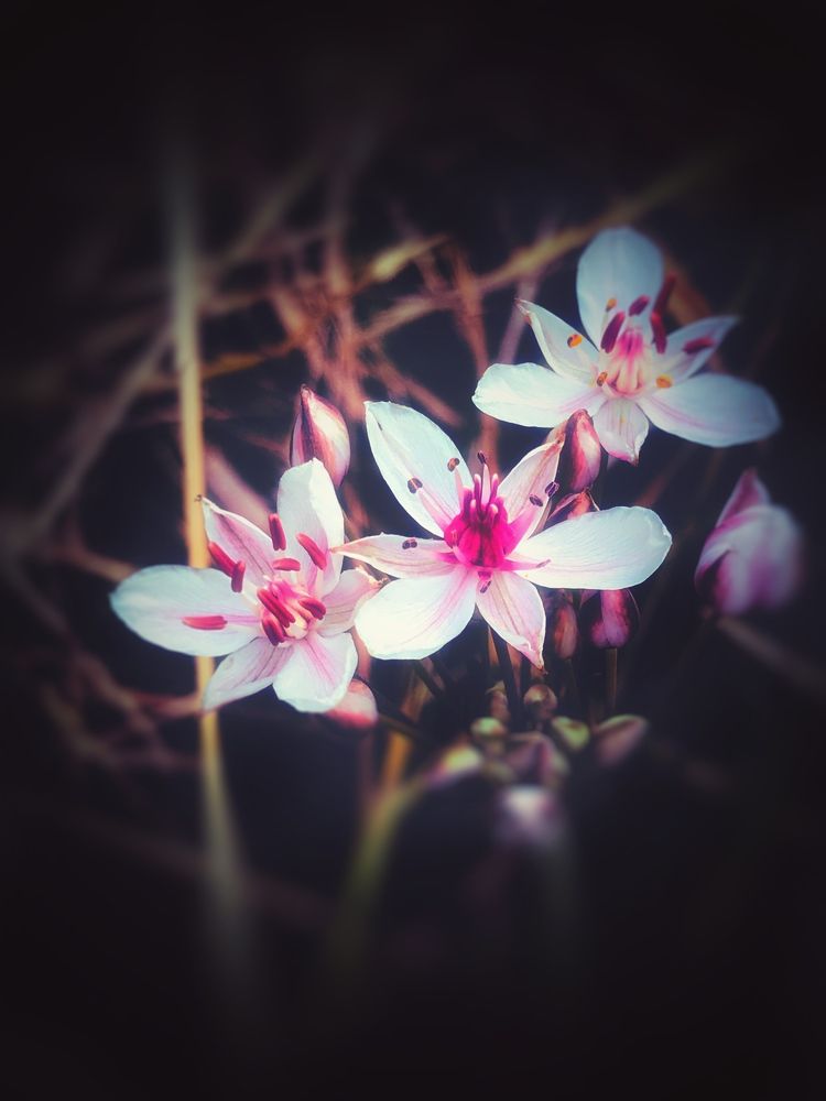 Внутренний мир