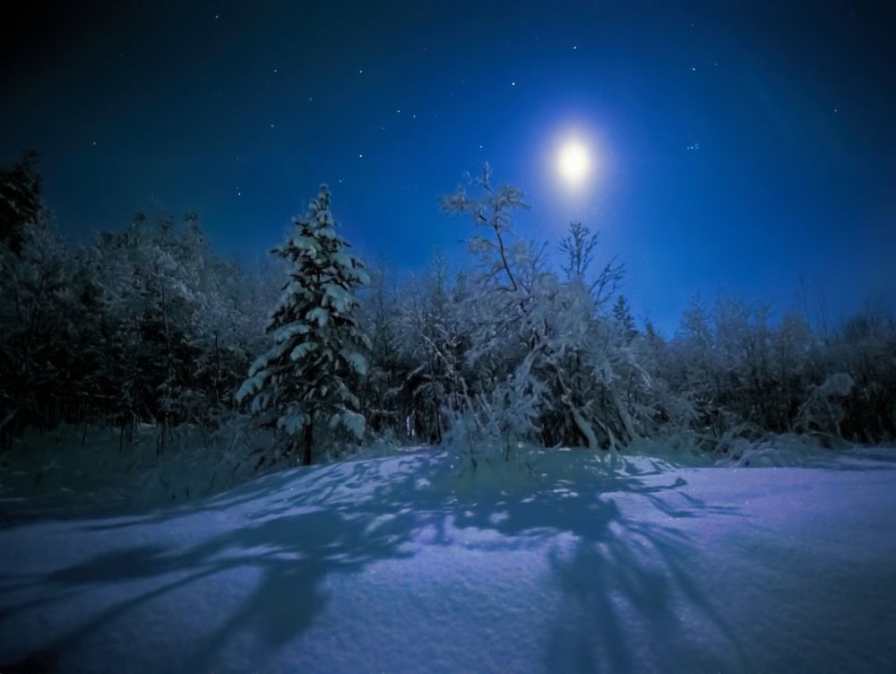 Photograph by Irina Grigoryeva