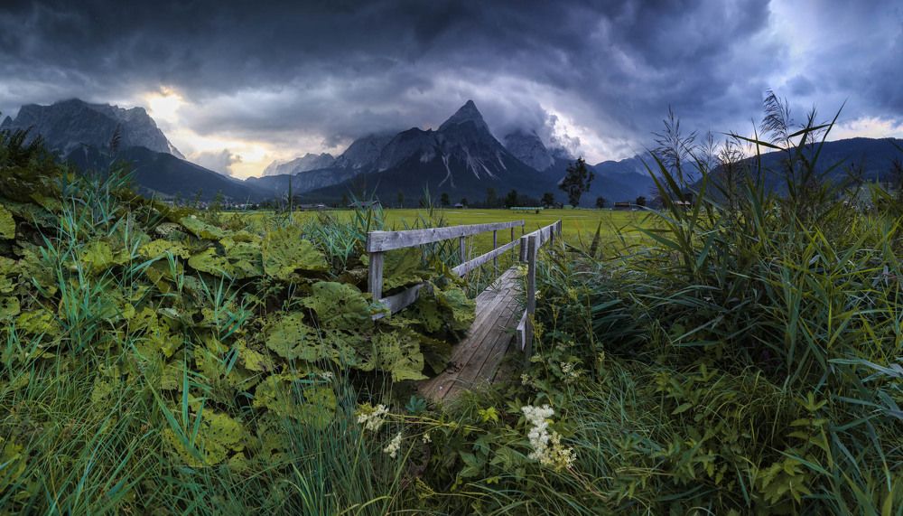 Photograph by Paweł Cyrulik