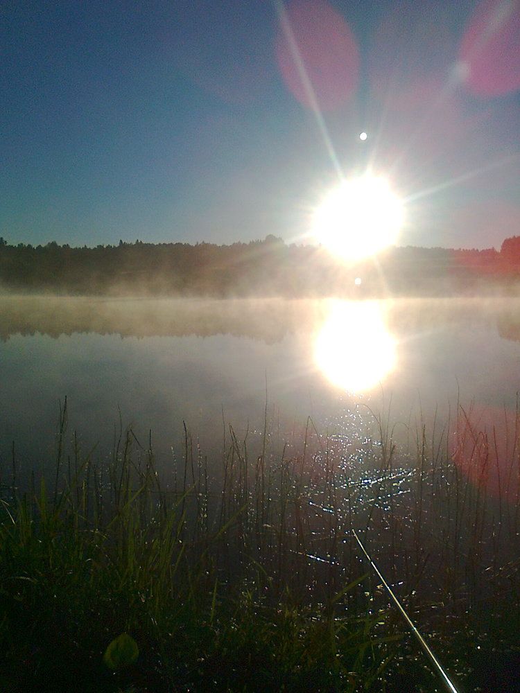 Photograph by Кольцова Фаина