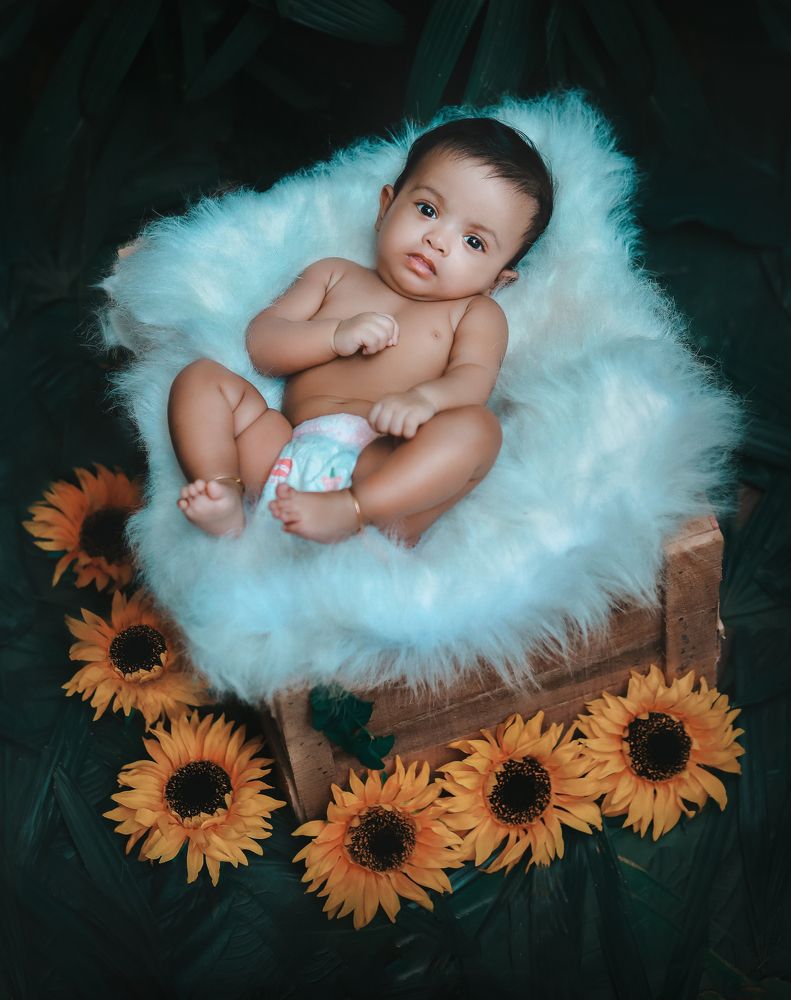 Фотография автора Shanu Sherief