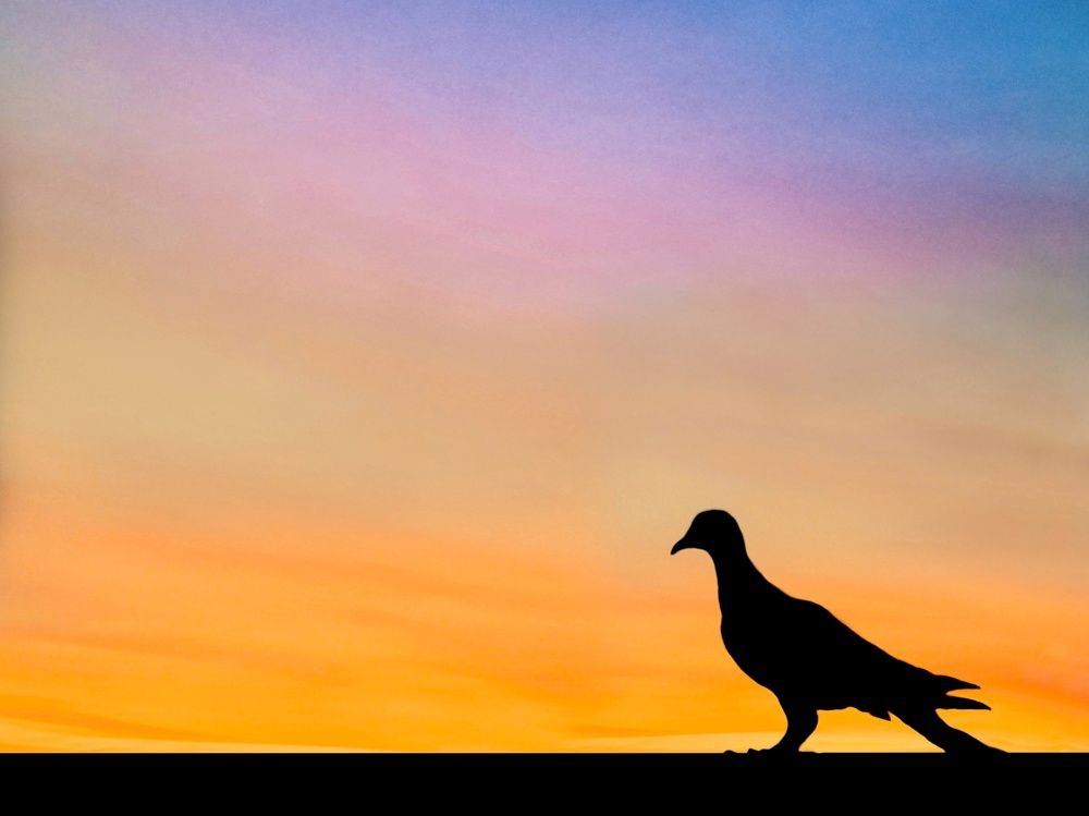 Photograph by Rishabh Solanki