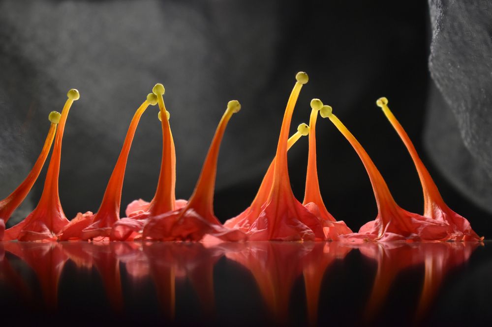 Photograph by Татьяна Золотарева