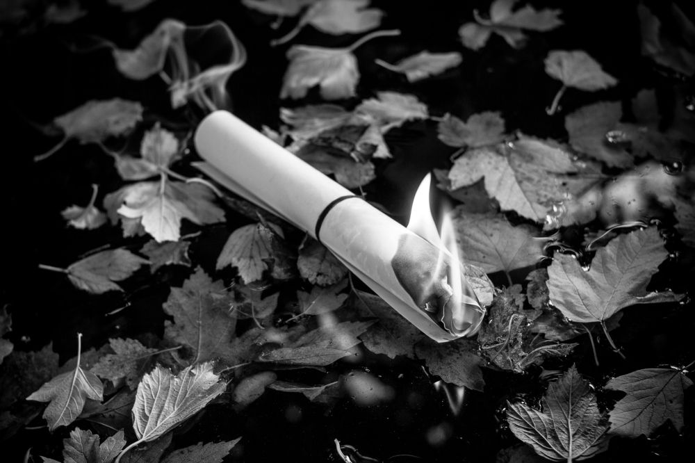 Photograph by Андрей Уколов