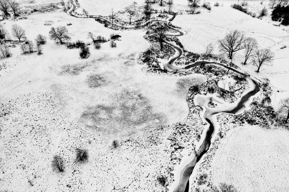 The colors of winter