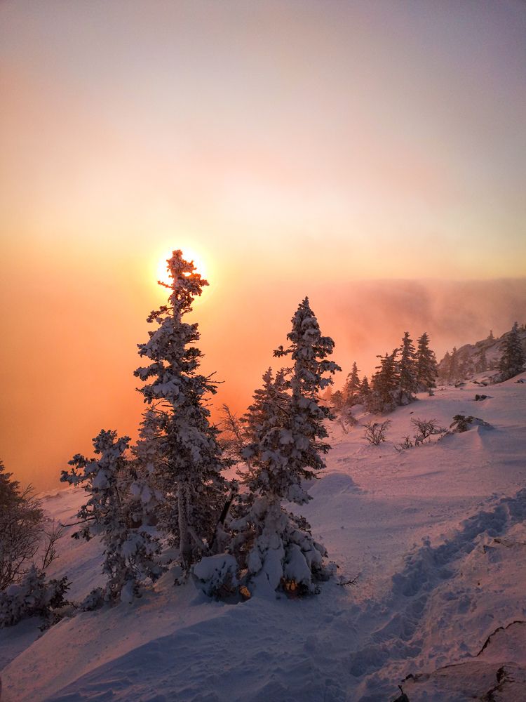 Photograph by Юлия