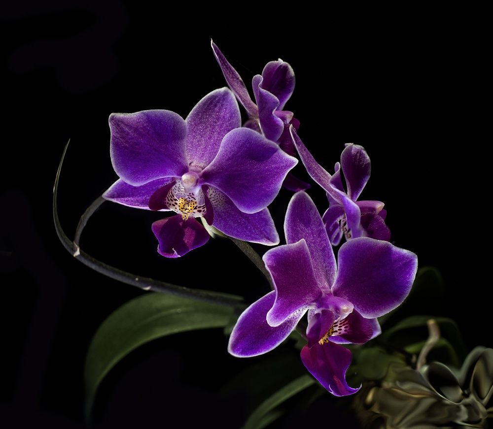 Фотография автора Валентин Черновол