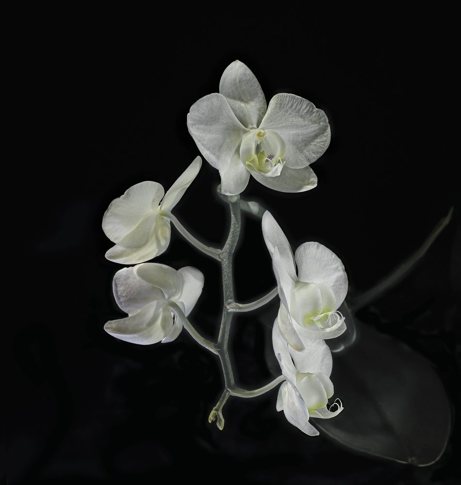 Фотография автора Валентин Черновол