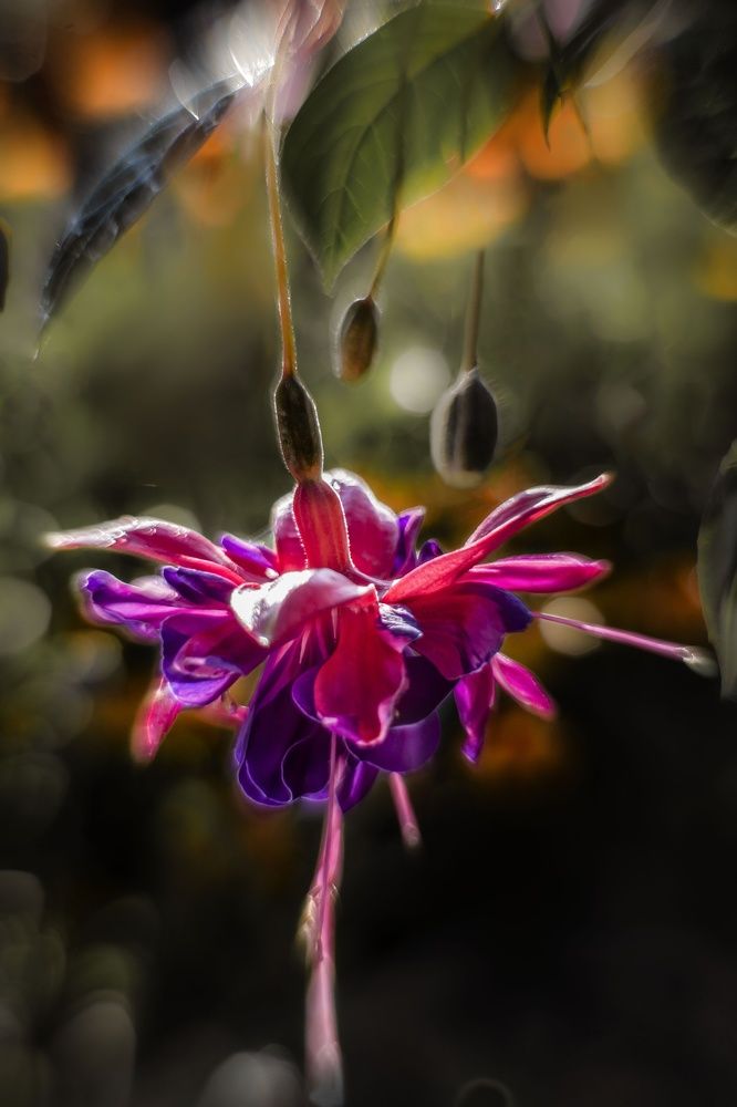 Фотография автора Валентин Черновол