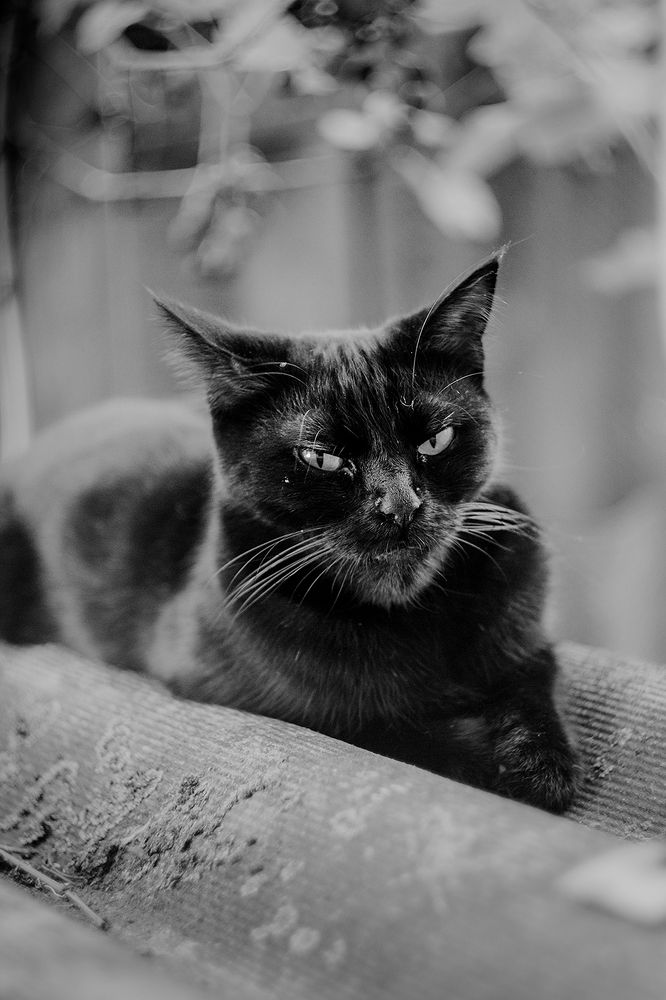 Photograph by Екатерина Ходус