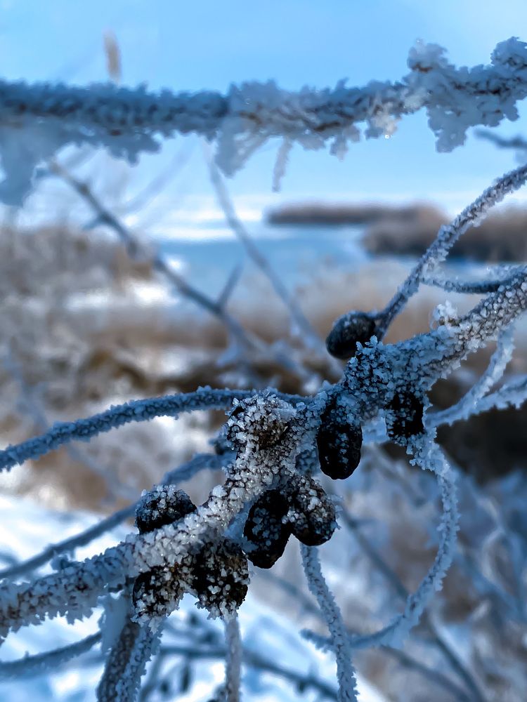 Photograph by Мария Чернецова