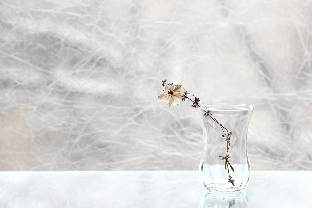 Фотография автора Дарья Шамакина