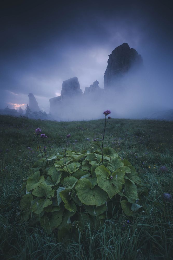 Photograph by Paweł Cyrulik