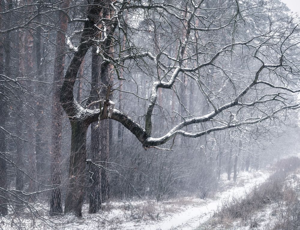 Photograph by Антон Харченко