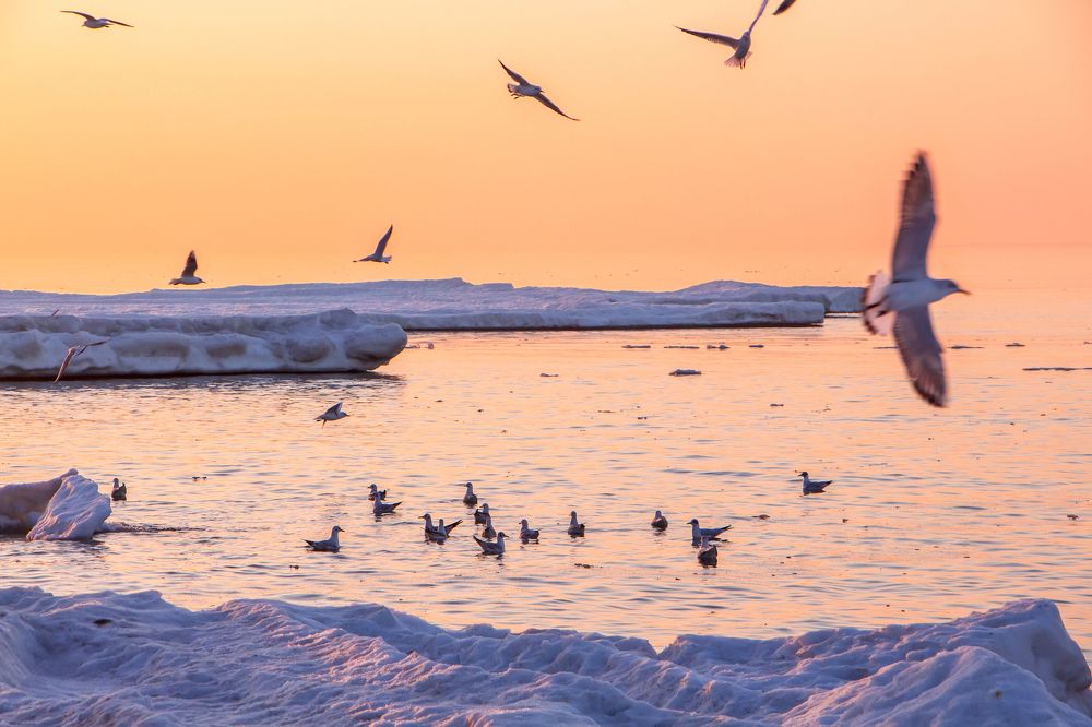 Photograph by Anna Diatchenkova