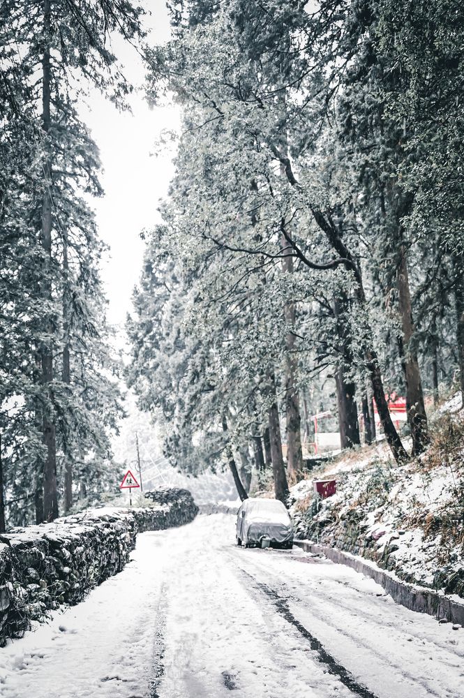 Winter Wonderland❄️