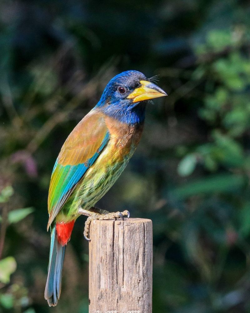 Photograph by Satirtha Ghosh