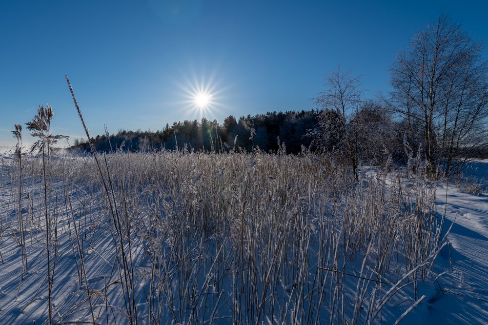 Photograph by Альбина Рычкова