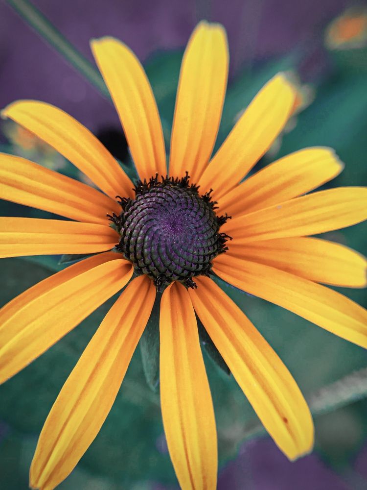 Мой внутренний мир