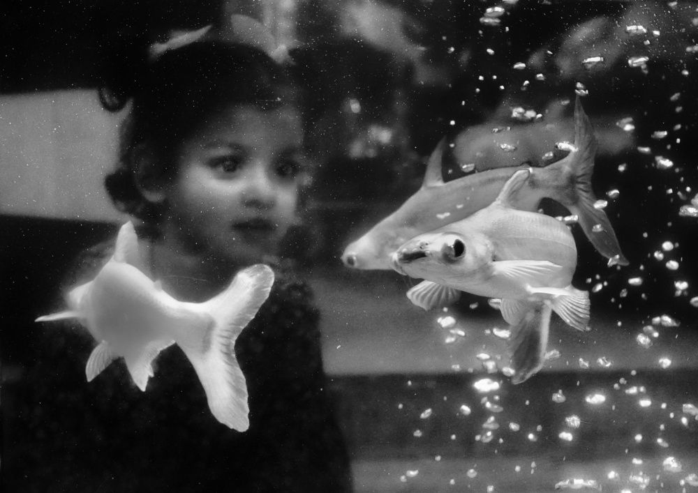 Photograph by Rahul Dey