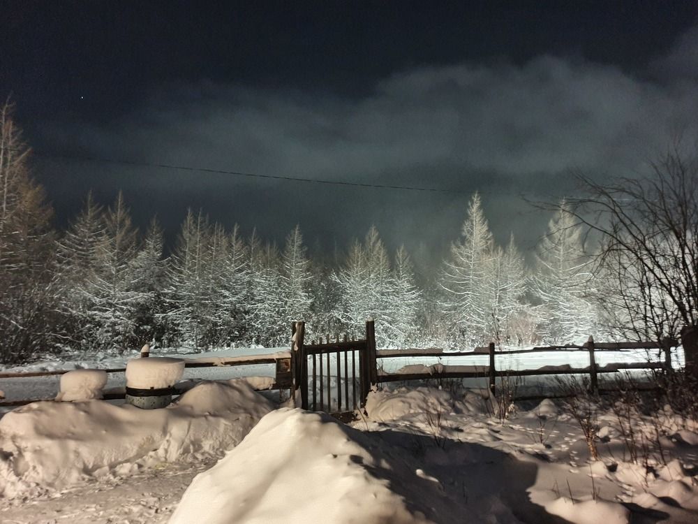 Photograph by Альбина Алексеева - Бугименова