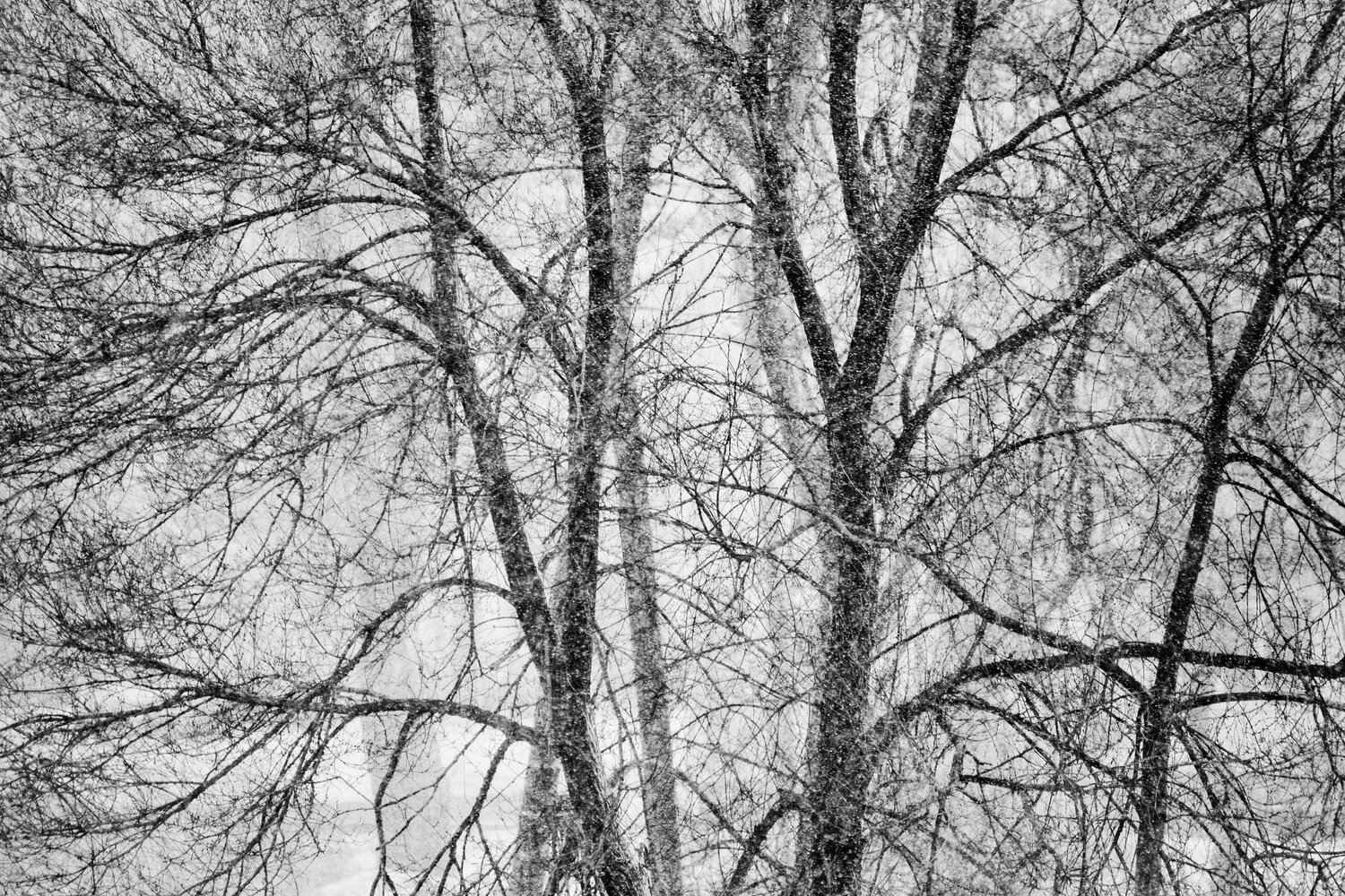 Photo #5878051