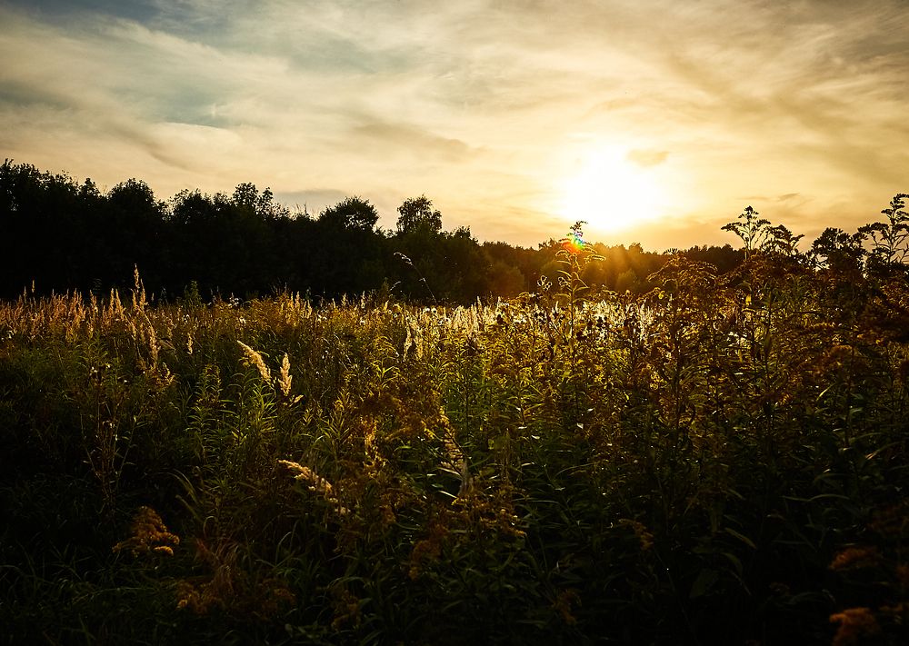 Photograph by Логинов Дмитрий